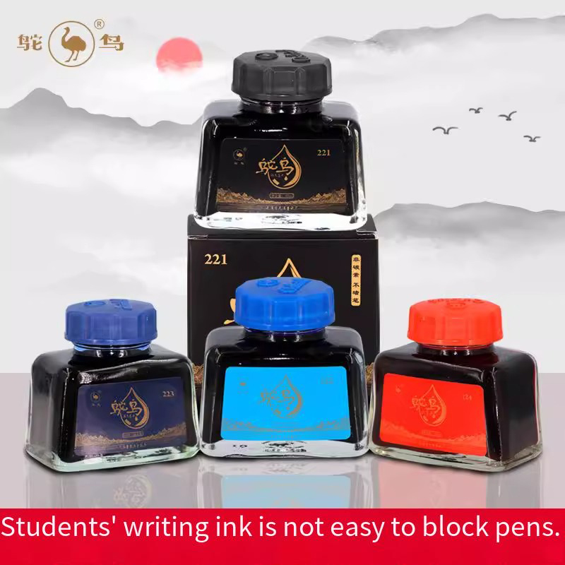 Ostrich 2-Series Fountain Pen  - Fountain Pen Bottled Ink review and price