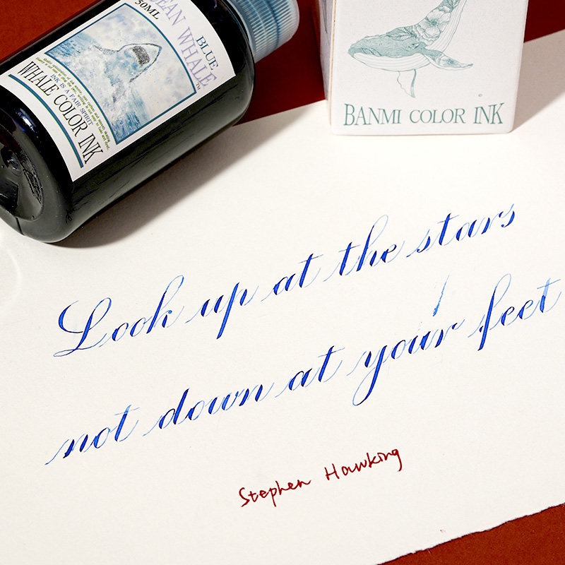 Banmi Whale Series Fountain Pe - Fountain Pen Bottled Ink review and price